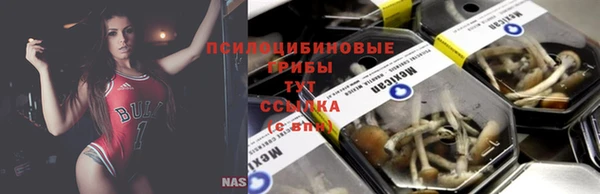 2c-b Сафоново