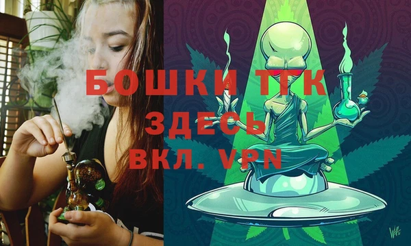 ГАЛЛЮЦИНОГЕННЫЕ ГРИБЫ Валдай
