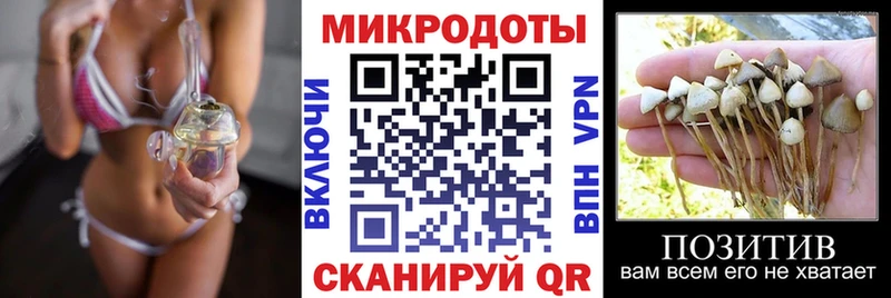 Галлюциногенные грибы Cubensis Абинск