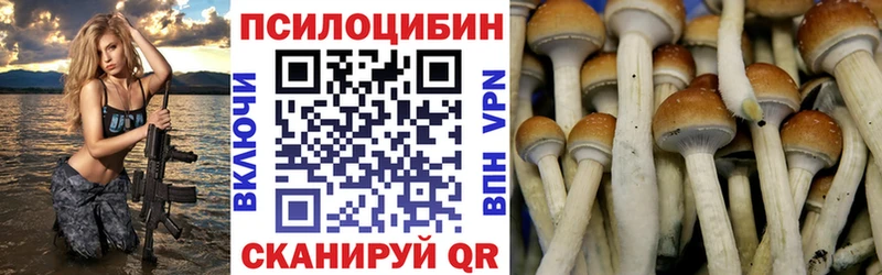 Галлюциногенные грибы Psilocybine cubensis  наркошоп  Абинск 